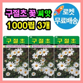 구절초 꽃 씨앗 (합 3000립) 종자 꽃씨, 3개