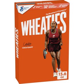 15.6 Ounce (Pack of 1) Wheaties Beakfast Ceeal 15.6 온스(1팩) Wheaties Beakfast Ceeal Beakfast, 1개, 442g