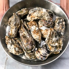 [푸드맛봄] 청정지역 여수 제철 석화 15kg/ 각굴, 1개, 상세 설명 참조