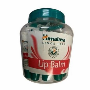 Himalaya Lip Balm Jar - Pack of 26 Lip Balm