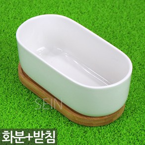 세인화분 다육 다육이 타원 백자 도자기 화분 1P - 선인장 다육화분 다육이화분 분갈이 화분갈이 식물 인테리어 화이트 받침 세트 홈가드닝 예쁜 원형, 윗면(170x85mm) 높이(60mm)