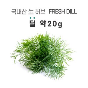 미트팬트리 국내산 生 허브 딜 Fesh Dill 약 10g씩, 10g, 2개