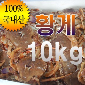 국내 자연산 황게(금게 방게) 깨다시 제주게 급냉 10kg, 황게 대 (30미 내외) 10kg, 1개