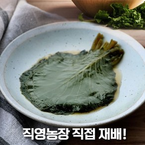 명인가 업소용 케일 장아찌 10kg 동북 케일 장아찌 대용량반찬