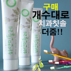 하얀 민들레 치약 잇몸질환+미백효과+치과전용칫솔, 4개, 150g