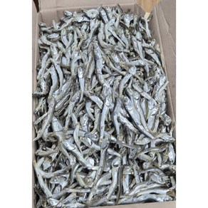 진성수산 최상급 완도 고바 고주바 멸치 조림 볶음 중사이즈 1.5kg, 1개