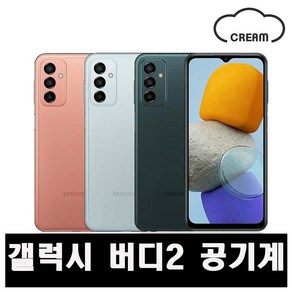 갤럭시 [버디2] [128GB] 공기계 중고폰 리퍼폰 알뜰폰 핸드폰 휴대폰, B급,오렌지, 128GB