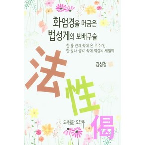 화엄경을 머금은 법성게의 보배구슬:한 톨 먼지 속에 온 우주가 한 찰나 생각 속에 억겁의 세월이, 오타쿠, 9791196584900, 김성철 저