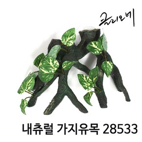 아쿠아마켓 클리오네 내츄럴 가지유목 28533, 1개