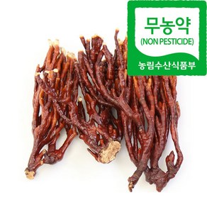 문상영버섯농장 녹각영지버섯 소포장 100g