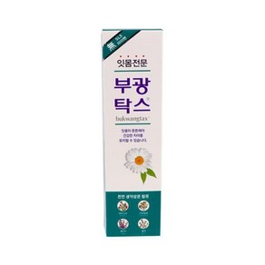 잇몸전문 부광탁스 치약 120g, 1개