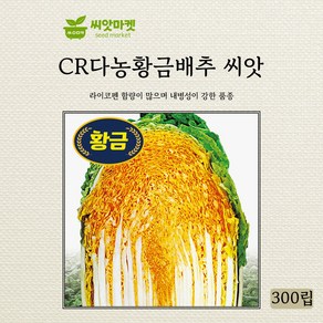 다농 CR황금배추 씨앗 300립, 1개