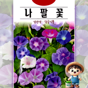KS종묘 나팔꽃 40립 혼합 덩굴식물 일년생 꽃씨 씨앗 종자, 1개