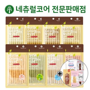 네츄럴코어 콜라겐 스틱껌 + 사은품 증정, 20g, 6개, 요쿠르트