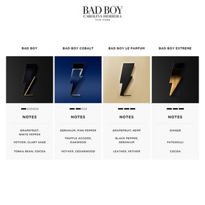 [관부가세포함] 캐롤리나 헤레라 배드 보이 코발트 오 드 퍼퓸 100ml Caolina Heea Bad Boy Cobalt EDP, 1개