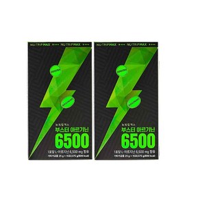 뉴트립맥스 부스터 아르기닌 6500 15포 2개, 375g