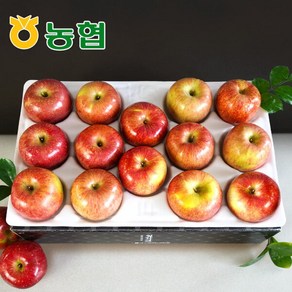 [프레시데이] [농협] 아삭달콤 안동 사과 가정용 3kg (12과내), 단품, 1개