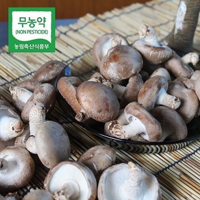 청정금산 친환경 표고버섯 농장직송, 생표고 중품 1kg, 1개