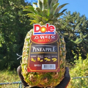 Dole 스위티오 파인애플 1수 (1.2-1.4kg 내외), 1개