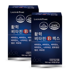 락토테미 활력 비타민b 맥스