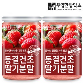 부영한방약초 동결건조 딸기 분말 200g 가루, 2개