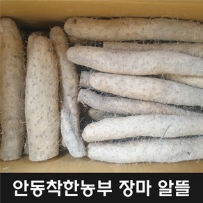 안동장마 알뜰 10키로 24년 햇마, 장마알뜰10kg, 1개