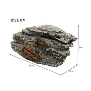 공룡뼈 화석 수족관 장식품 삼엽충 잠자리 모형, 1개