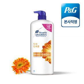 헤드앤숄더 두피 컨트롤 샴푸 1200ml 1개