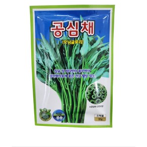 공심채씨앗 10g Impoea aquatica Fosk 모닝글로리, 1개