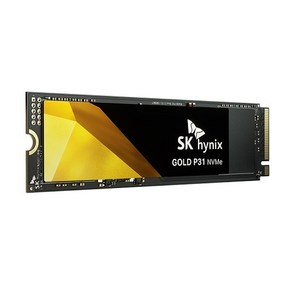 SK하이닉스 Gold P31 M.2 NVMe (500G)