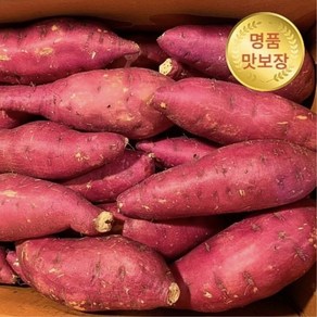 메리네마켓 마약고구마] 꿀맛나는당근고구마 풍원미 고구마 호박고구마, 황금빛 상중 2kg, 1개