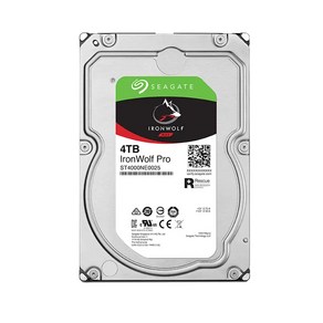 씨게이트 아이언울프 프로 NAS 4TB 7200RPM 28MB ST4000NE00 3.5 인치 SATA 하드 드라이브