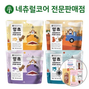 네츄럴코어 멍쵸 + 사은품 증정, 연어 60g x 10개, 60g, 10개