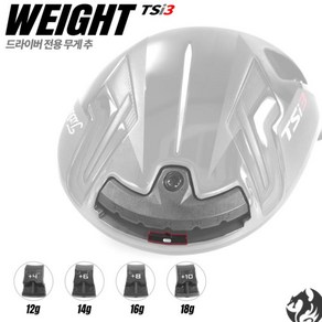 타이틀리스트 TSi3 무게추 드라이버 무게추 WEIGHT, 10g