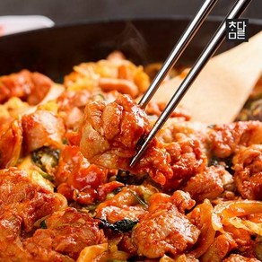 [KT알파쇼핑]참다른 냉동 순살 춘천닭갈비 500g x 2팩, 2개