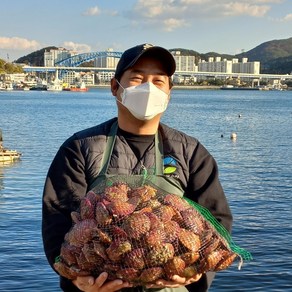 통영 산지직송 신선한 홍가리비, 1박스, 홍가리비 5kg