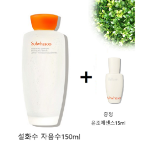 [설화수] 자음수(신형) 150ml + 윤조에센스 15ml 증정