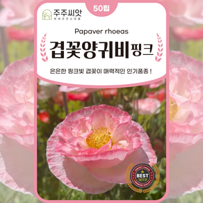 겹꽃양귀비 핑크 씨앗 50립 꽃씨