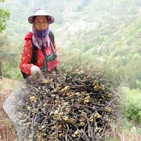 유기농인증 지리산 건고사리, 1개