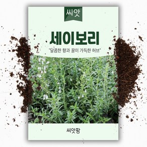 씨앗팜 허브 세이보리 씨앗 (900립), 1개