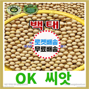 [OK씨앗] [백태(메주콩)] 백태콩씨앗 매주콩씨앗 종자(오케이씨앗)