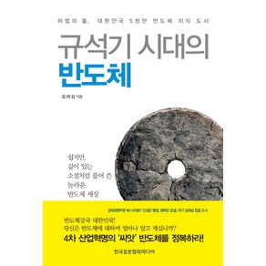 규석기 시대의 반도체:마법의 돌 대한민국 5천만 반도체 지식 도서, 한국표준협회미디어, 김태섭