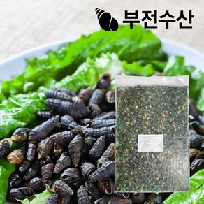 부전수산 냉동 신선한 다슬기살 1kg 올갱이 다슬기국 올갱이국 다슬기된장 다슬기해장국 다슬기전 술안주 원기회복 영양간식, 1개