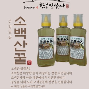 소백산 벌꿀 사양 벌꿀 아카시아꿀 500g 풍기인삼시장 한보인삼사, 1개