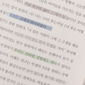 툴러 독서용 스모키 미니 플래그