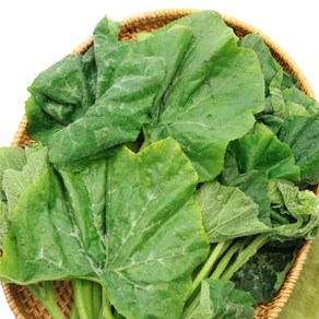 국내산 생호박잎 쌈채소 신선한 제철 200g 400g 1kg[원산지:국내산], 1개