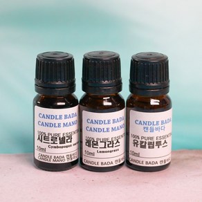 Oil kit - 모기퇴치 3종.시트로넬라.레몬그라스.유칼립투스 (각10ml), 1개, 10ml