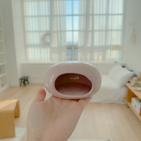 동글이 은신처 도마뱀 파충류, 1개, M 핑크