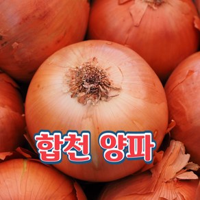 수려한합천 양파 10kg (2024년산), 1박스, 양파 10kg 4번구