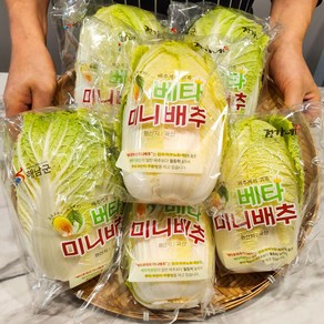 해남 베타 미니배추 알배기 쌈배추, 1박스, 5kg(4~6포기), 5kg